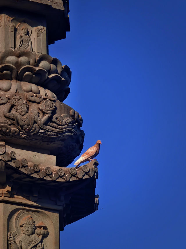 上海小眾銀杏秘境攻略 上海小眾銀杏秘境攻略