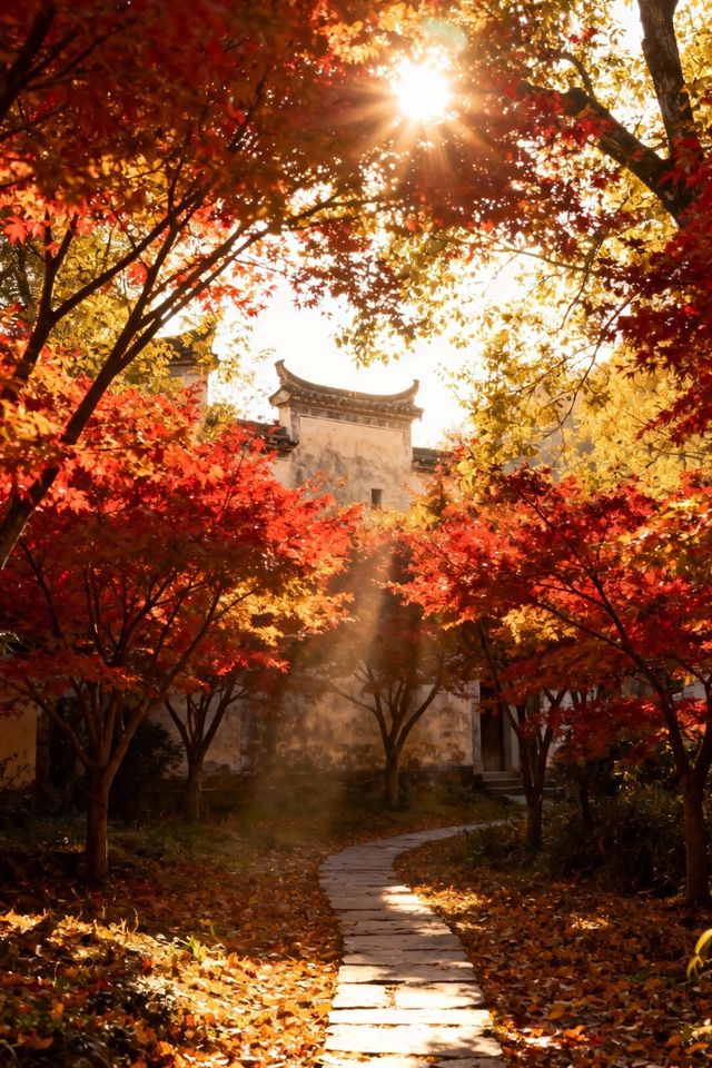 【篁嶺賞秋正當時】抓住最後一抹絢爛，邂逅限定版秋日畫卷