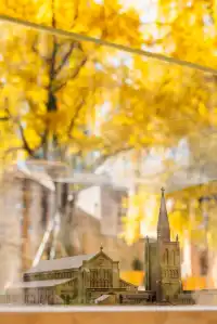 12.4外灘聖三一堂銀杏季已到附隱藏機位