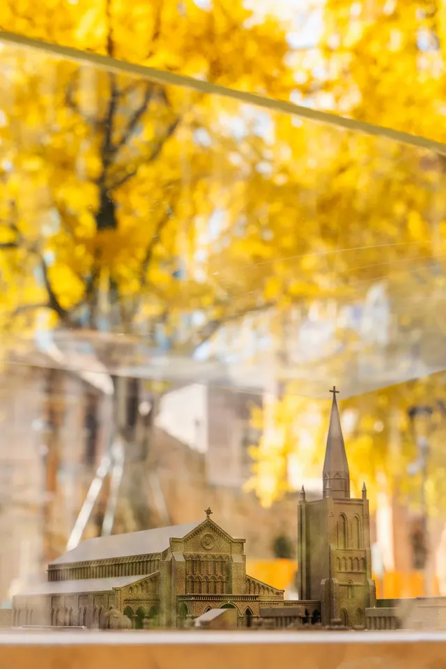 12.4外灘聖三一堂銀杏季已到附隱藏機位 12.4外灘聖三一堂銀杏季已到附隱藏機位