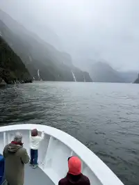 帶5歲娃闖新西蘭南島11天自駕!旅行路線篇