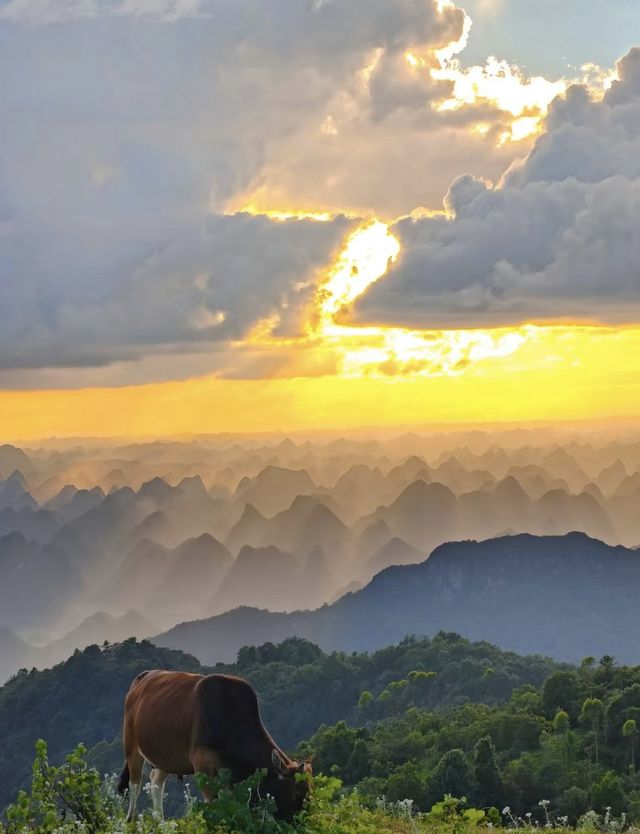 美麗的烏鴉山 美麗的烏鴉山