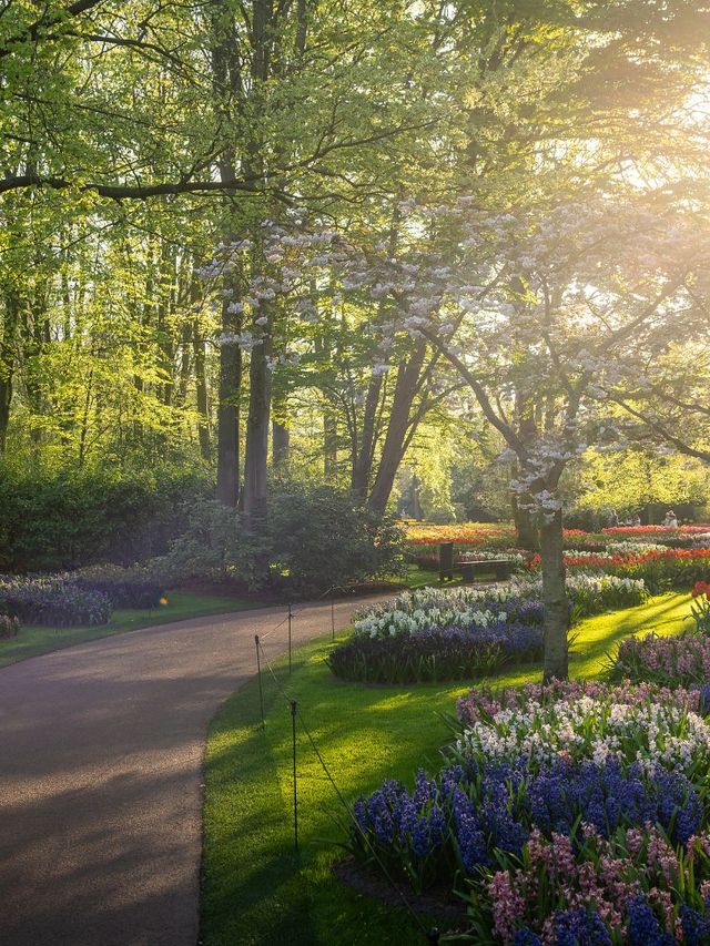 歐洲連遊12日｜這篇攻略讓你秒懂