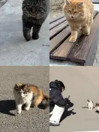 大同旅遊攻略丨3天2晚順路玩順路吃行程表版