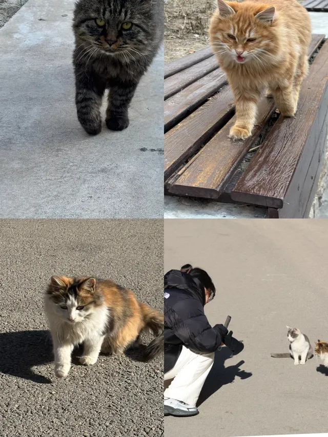 大同旅遊攻略丨3天2晚順路玩順路吃行程表版