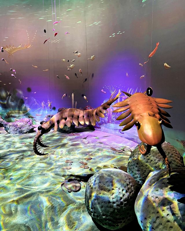 重慶遛娃親子暢遊丨神奇博物館共學體驗