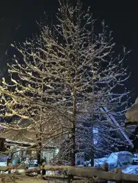 禾木今晚大雪 禾木雪景的絕殺拍攝地點