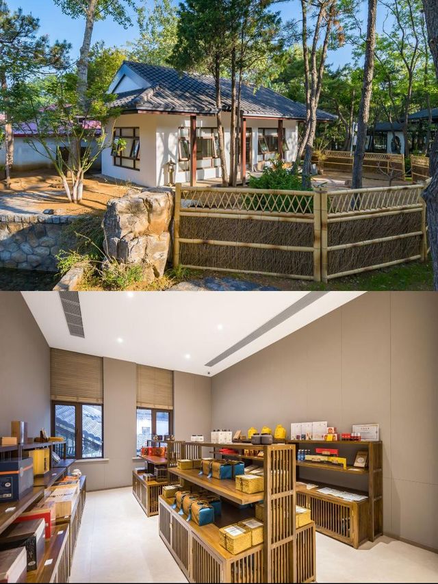 北戴河藏了一處仙女養生後花園! 北戴河藏了一處仙女養生後花園!