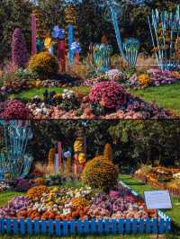 魔都秋日私藏共青森林的治癒漫遊手記