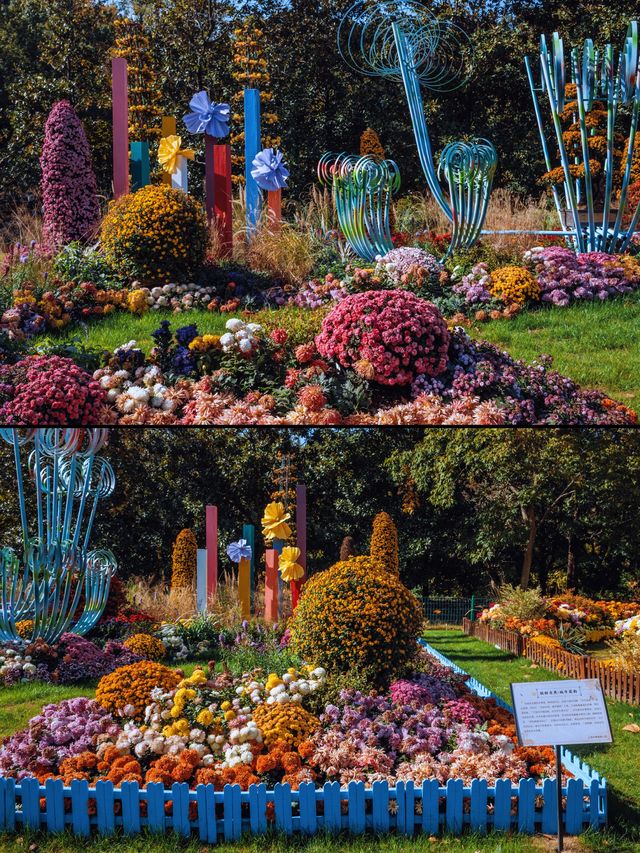 魔都秋日私藏共青森林的治癒漫遊手記