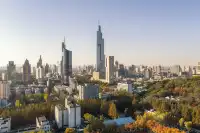 該怎麼向你描述南京的秋天呢