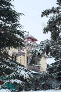 冬日的童話世界