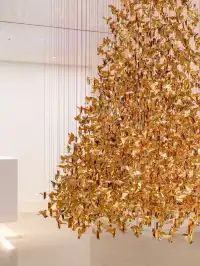 The Dolder Grand|闖入金色夢境