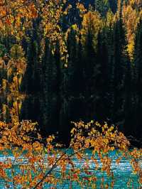 總要去一趟新疆吧!