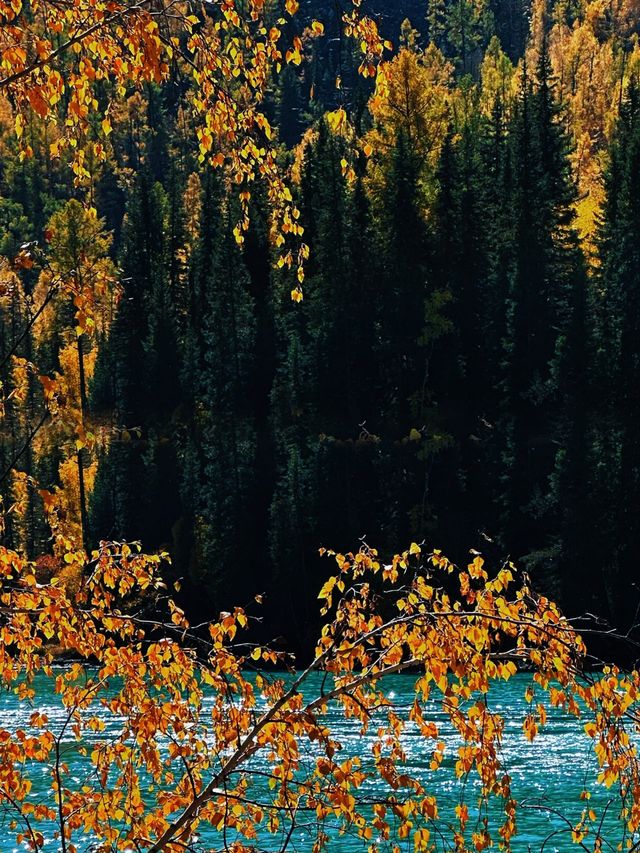 總要去一趟新疆吧! 總要去一趟新疆吧!