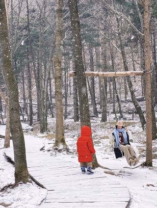 洛陽1.5時間の車程丨中原版「氷雪の秘境」へ突入