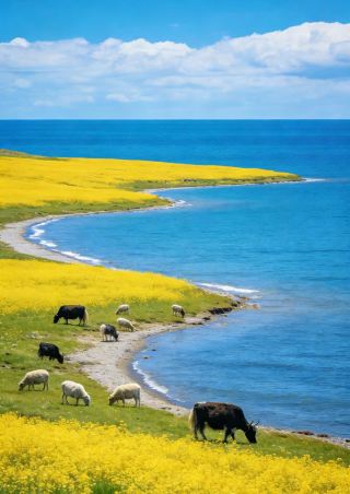 เล่นเส้นทางคลาสสิกทั้งหมดของชิงไห่และกานซูพร้อมกัน