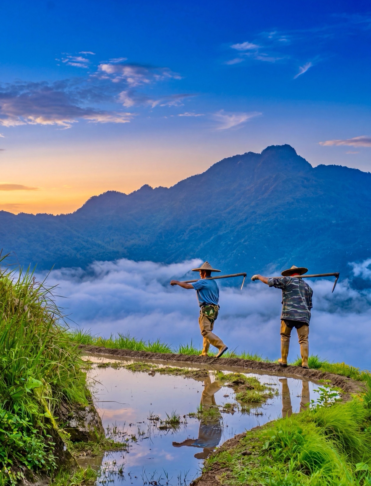 Featured by National Geographic!