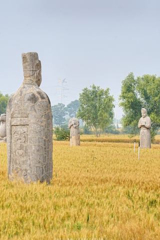공이 송릉 | 역사는 그저 밀밭이 수천 번 노랗게 물든 것일 뿐