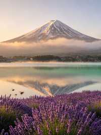 6天夏天逛日本保姆級攻略碼住