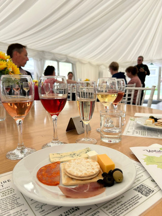 Wonderful Camping and Wine Tasting Experience