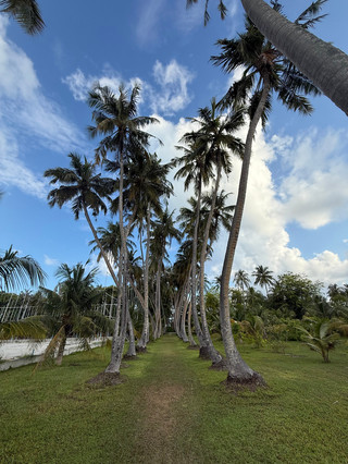 A True Island Paradise with Exceptional Service