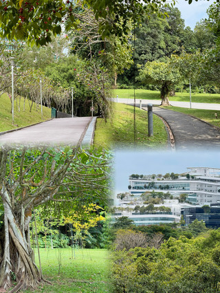 I'm back from Singapore, spent 5 days there, and my budget expectations were shattered!