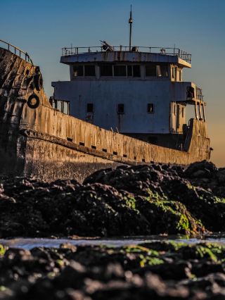 Watching the sea by an old ship is so healing