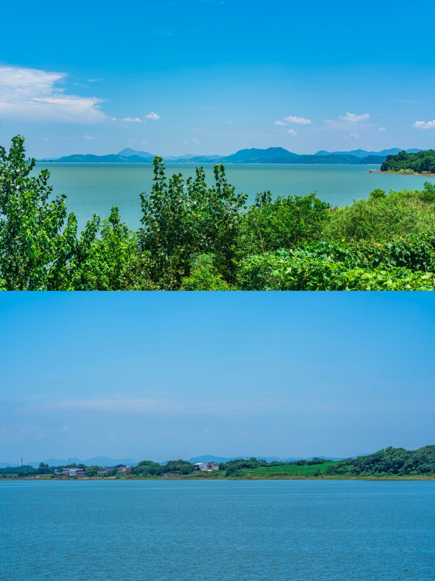 Shengjin Lake, Anhui | A hidden gem with ultimate summer vibes