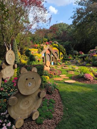 🌼 Chrysanthemum Exhibition, Hangzhou Botanical Garden | Discovering Golden Romance in Autumn 🍂💛