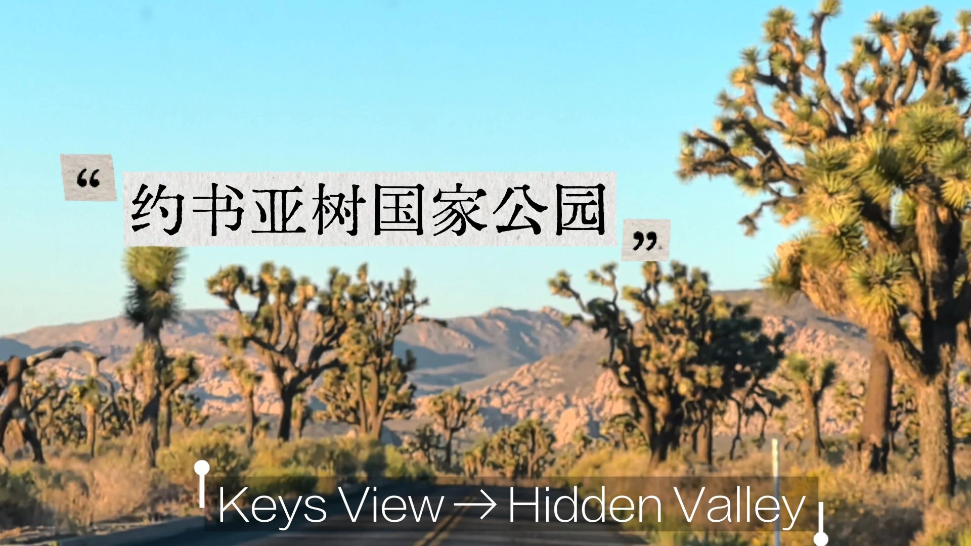 Joshua Tree National Park 2-hour guide: I got scammed.