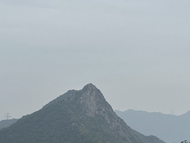 天陰陰的畢架山🌫️🌫️