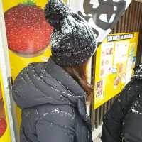 삿포로의 냉장고 니조시장과 홋카이도 명물 우니동 카이센동