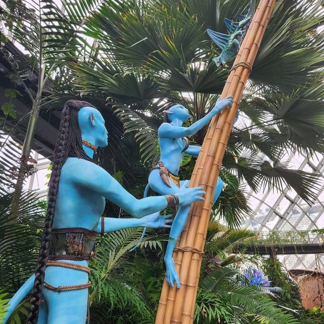 Cloud Forest At Gardens By The Bay