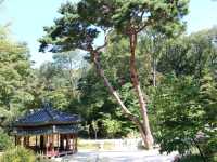 A beautiful garden