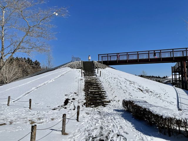 【静岡】富士山の見える絶景公園と雪景色