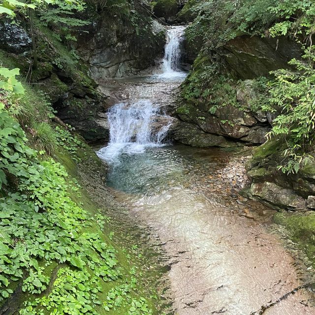 日光＆鬼怒川温泉