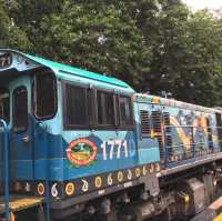 【ケアンズ おすすめ】キュランダ 高原鉄道