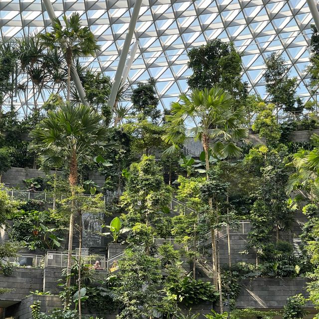 Jawel Changi