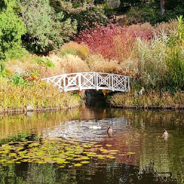 Colorful Royal Tasmanian Botanical Garden