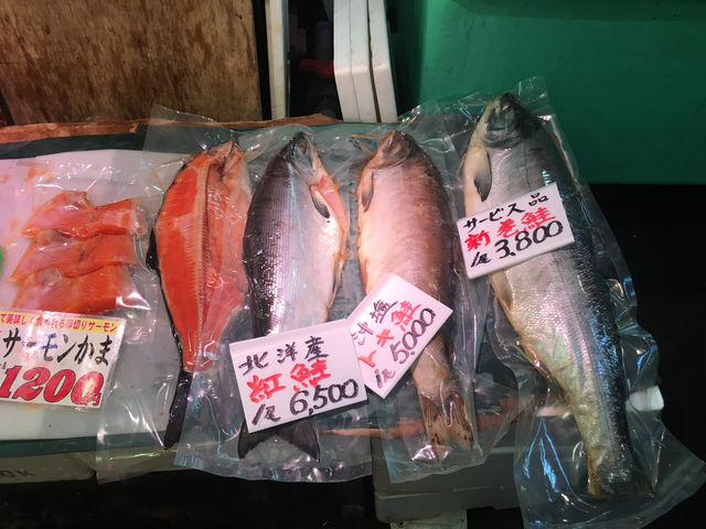 北海道不可錯過的小樽🍣🚣🛍