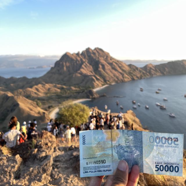 Yellow Season in Pulau Padar