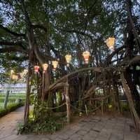Exploring Sia Boey's Treasure Path