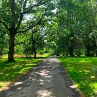 GORGEOUS ROYAL BOTANIC GARDENS, KEW!