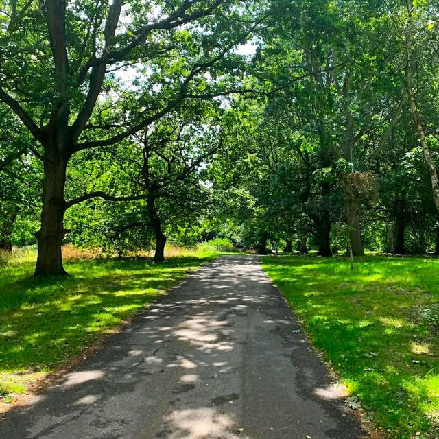 GORGEOUS ROYAL BOTANIC GARDENS, KEW!