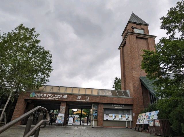 【親子で楽しい大きい公園】北海道　滝野すずらん丘陵公園