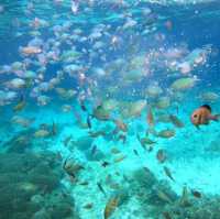 Balicasag Island, Bohol escaped 