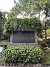 好值得細心閱覽嘅九龍寨城公園