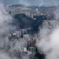 香港🇭🇰 ｜季節限定的山野景色🌟 - 大帽山 ⛰️