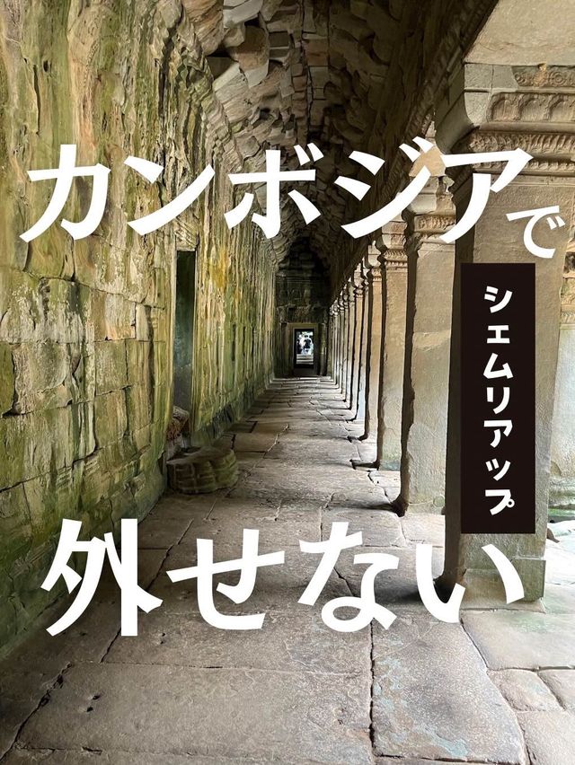 【カンボジア】一生に一度は行きたい！世界遺産のアンコールワットが想像以上だった